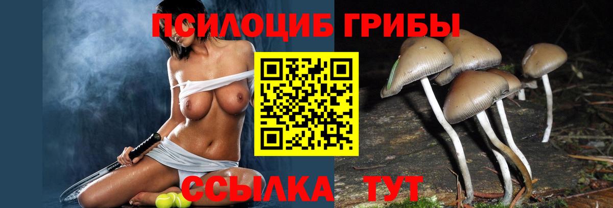 Псилоцибиновые грибы Magic Shrooms Первоуральск